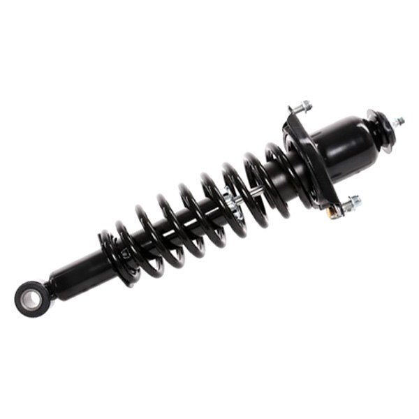 2005 Toyota Matrix Suspension Strut and Coil Spring Assembly