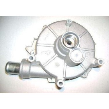 ford freestyle water pump